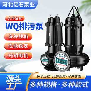 排涝泵河道灌溉抽水水泵WQ排污泵城市积水排洪水泵 大流量卧式