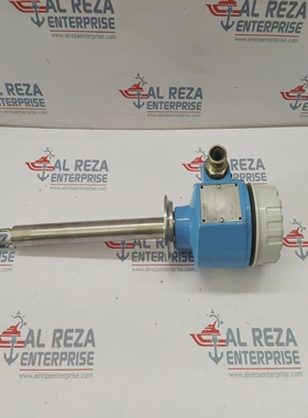 ENDRESSHAUSERFTL51H-KTE2BC4G5AFLSSIGMITTELVIBRONICPUNK