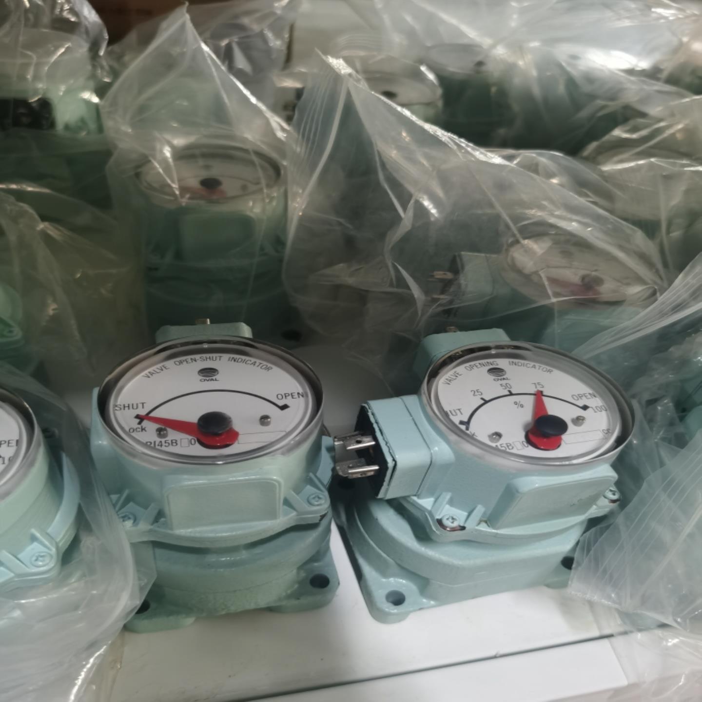 议价议价OVAL阀位指示器NPI45B00 NPI45B10 NPI45B20 NPI4议价