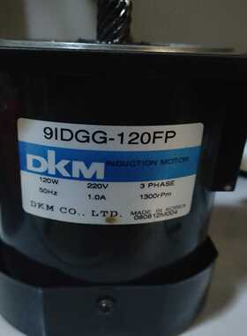 DKM电机，9IDGG-120FP询价