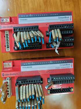 Allen Bradley 1791DS-IB8XOB8和1（地坛设备）