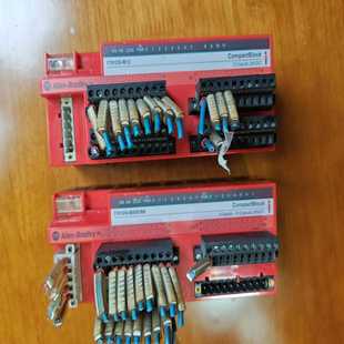 1791DS Bradley Allen IB8XOB8和1 霸霸电子