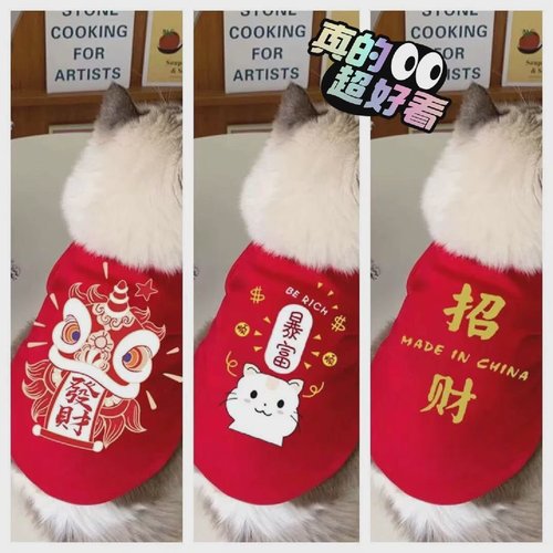 包邮宠物喜庆拜年服猫咪过年衣服冬季布偶英短蓝猫小猫咪狗狗新年