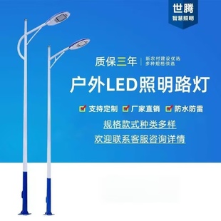 LED市电路灯市政道路单臂单头双臂双头8米10米12米城市照明路灯杆
