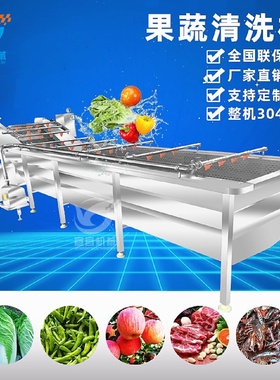供应气泡式油茶果全自动清洗机番茄黄瓜清洗设备