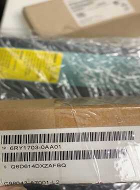 6RY1703-0AA01质保议价询价