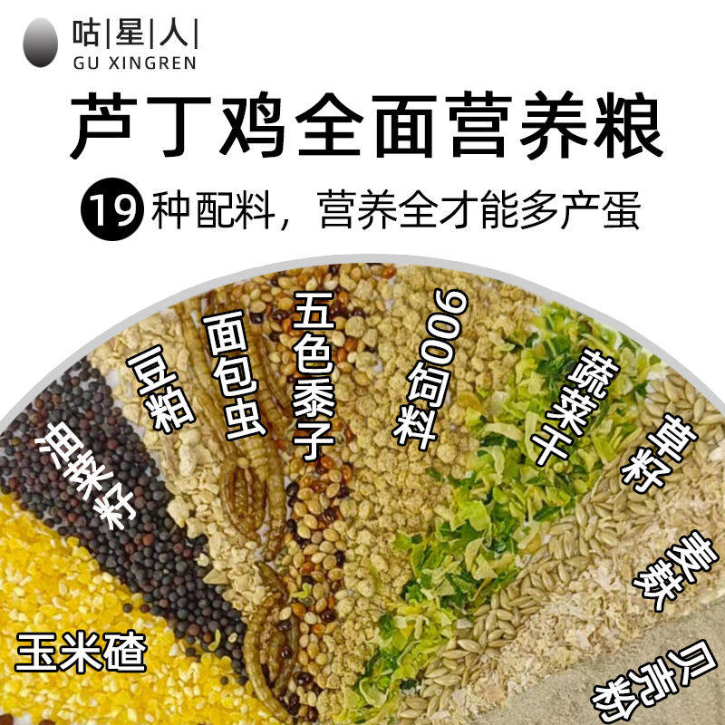 咕星人芦丁鸡专用产蛋饲料小卢丁雏鸡开口育雏粮宠物食物面包