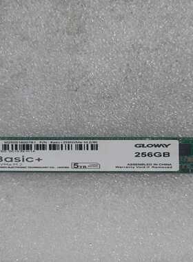 GLOWY光威NVME256GB固态健康度100%--议价商品
