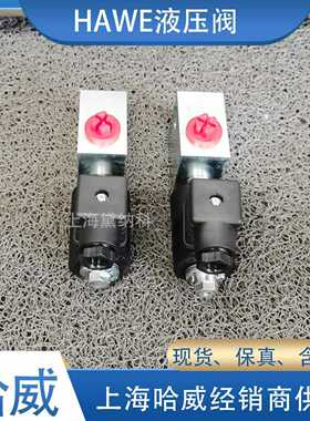 哈威EM12V-G24-PYD电磁球阀经销德国HAWE换向阀EM系列T供应
