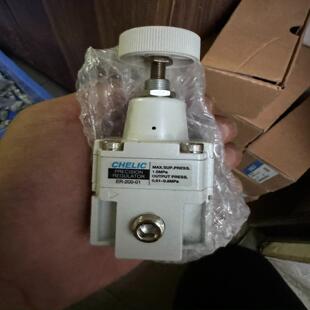200 PG10A带压 气立可精密调压阀ER 议价全新带包装