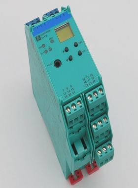 PepperlFuchsKFD2-GUT-Ex1.DTemperaturmessumformer231225T