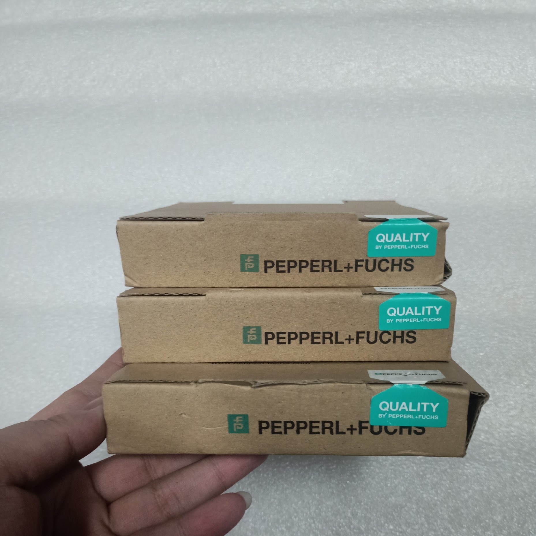 【议价】倍加福安全栅KFD2-EB2R4AB*2