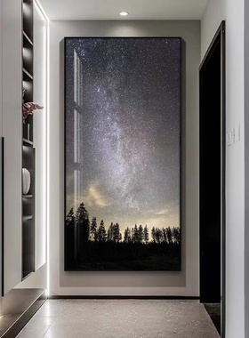 轻奢入户玄关装饰画现代简约星空风景过道壁画竖版正对门走廊挂画
