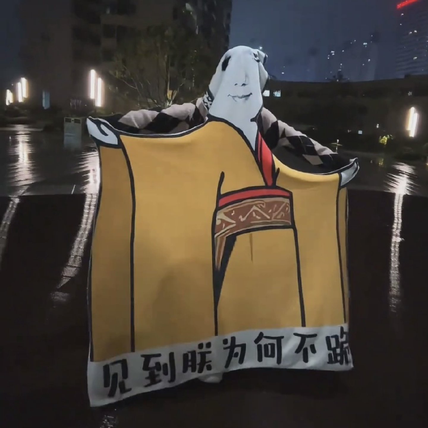 龙图毯见朕为何不跪搞怪毯子宿舍床上午休午睡表情包毛毯