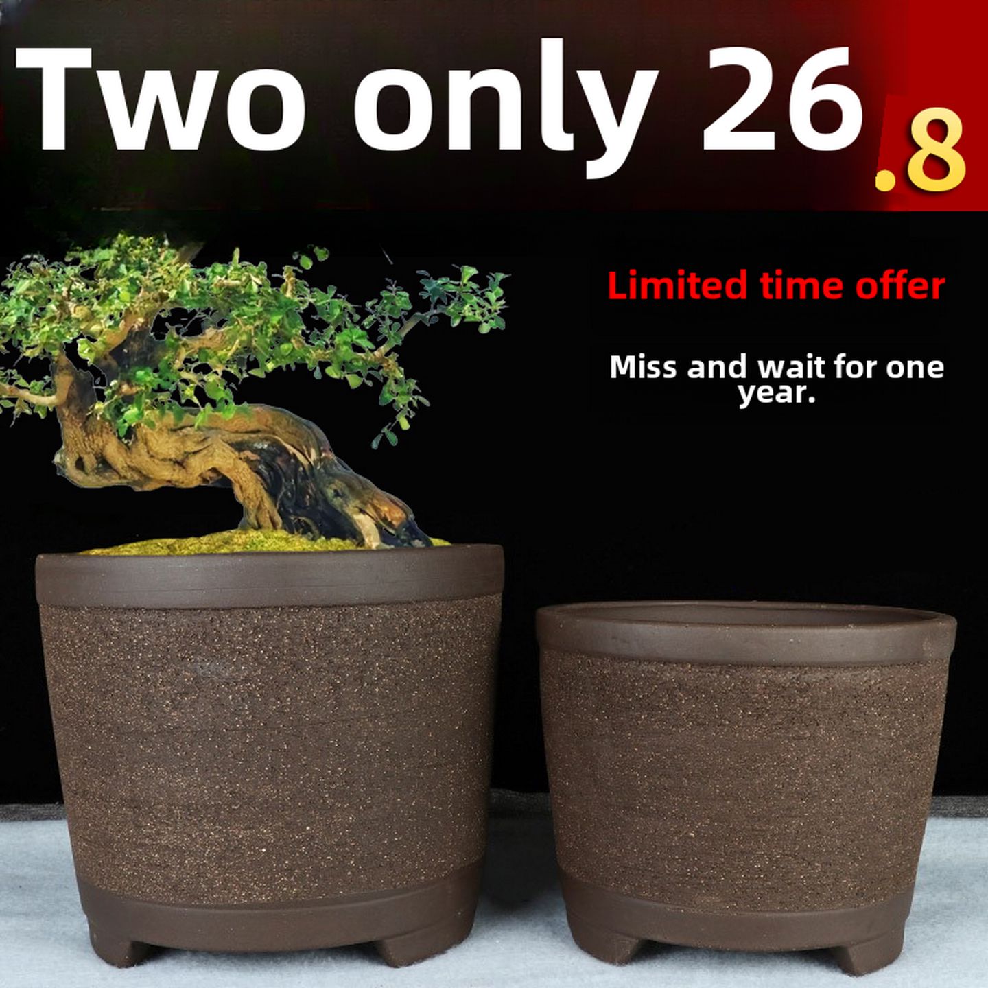 宜兴直筒紫砂花盆特别清除绿色植物多肉的Clivia花盆大型家居美化