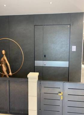 实力工厂北欧轻奢门墙一体入户门一门一景新设计高端别墅大门静音