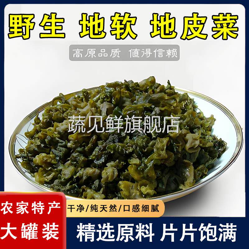 地软地皮菜甘肃野生雷公菌野菜干货特级免洗地衣新地鲜木耳地角皮
