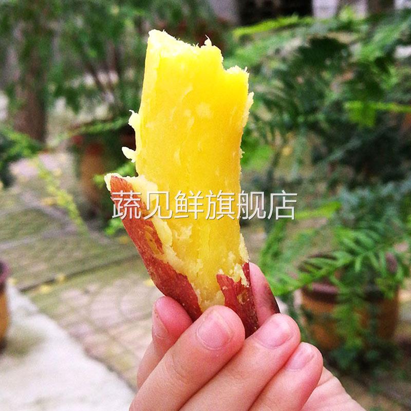 板栗红薯新鲜9斤黄心地瓜农家自种香薯小山芋薯10蜜薯山东番薯