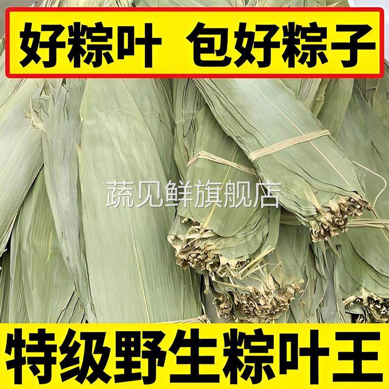 粽叶新鲜粽子叶大号粽叶包粽子专用新鲜粽叶芦苇粽叶干人工挑选叶