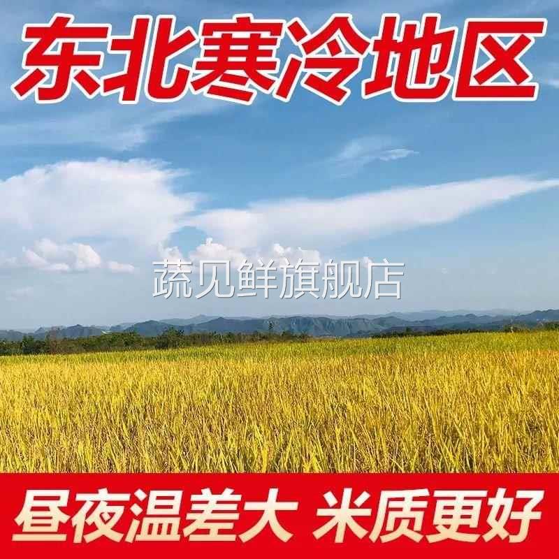新米东北大米20斤珍珠米圆粒米粳米10斤包邮优质大米5KG原粮现磨
