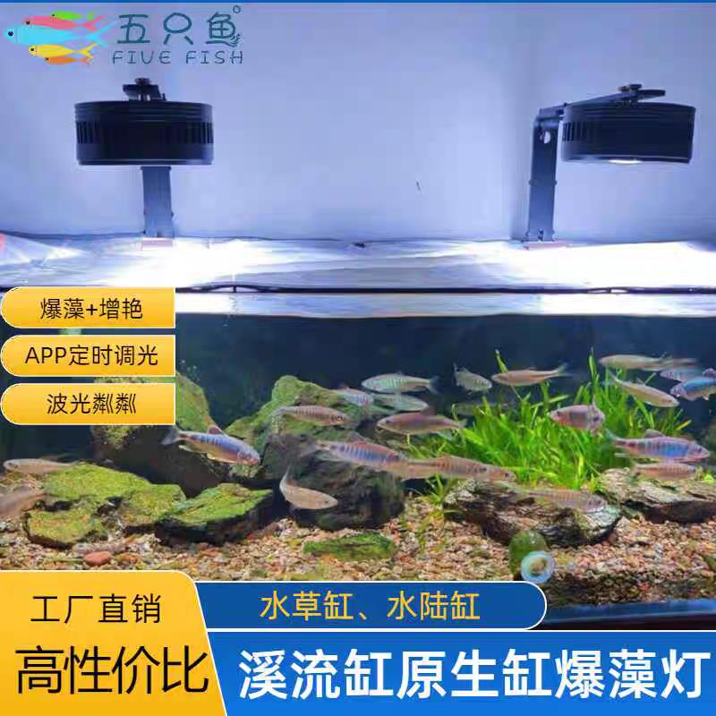 鱼缸灯led灯防水观赏鱼金鱼缸专用筒灯爆藻增色水草溪流缸全光谱