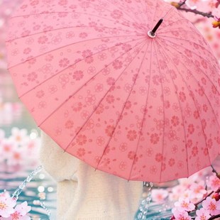 中式国风遇水生花长柄雨伞抗风24骨双人大号直杆伞手动弯柄出行