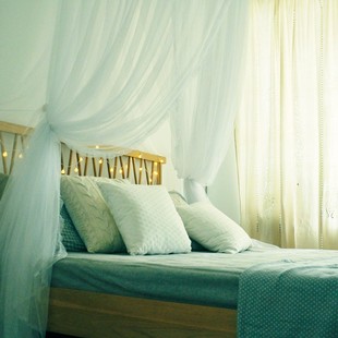 加密吸顶整体帐身 圆形宫廷蚊帐欧式 艾野圆顶吊顶蚊帐 公主落地式