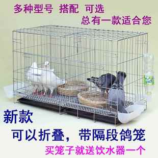 鴿子籠養(yǎng)殖籠鴿子配對(duì)籠籠子大型大號(hào)繁殖鴿籠鴿子籠家用