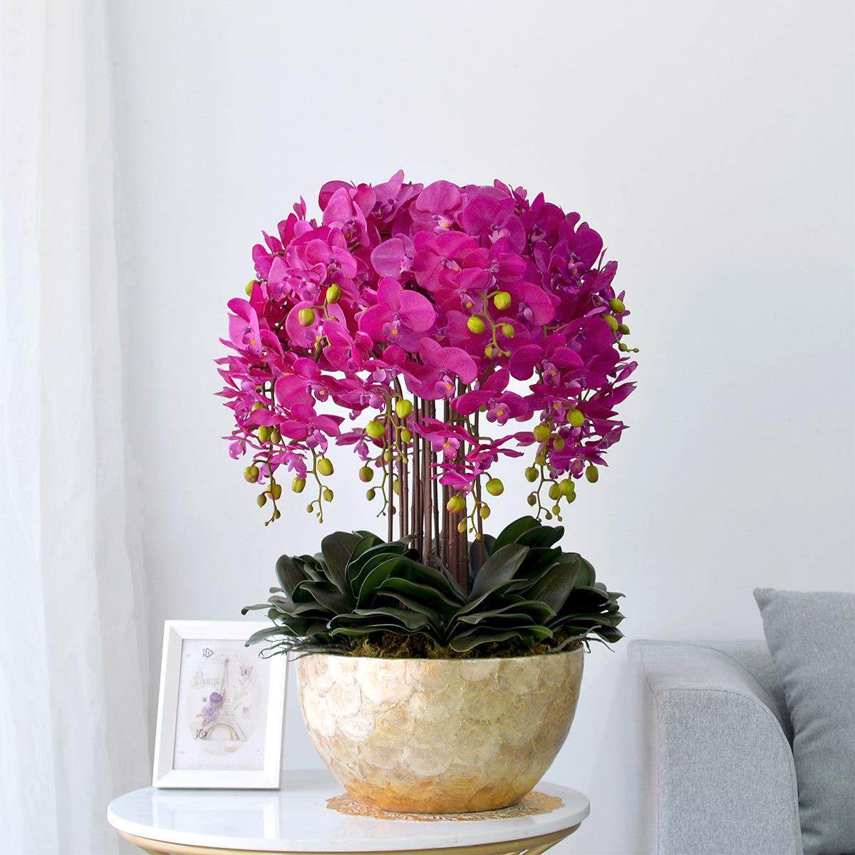 超大手感蝴蝶兰仿真花套装盆景客厅装饰餐桌边几摆设假花盆栽摆件,家居饰品,仿真花/假花,淘宝优惠券,粉丝福利购,淘宝优惠卷