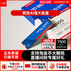 闪迪固态硬盘sn5100台式装机1tb笔记本m.2接口ssd电脑sn5100