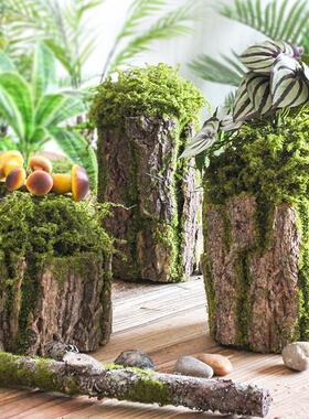 仿真绿植苔藓树皮假树桩森系幼儿园田园风青苔摆件造景装饰可插花