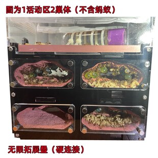 混凝土蚁巢穿透巢体无限加叠升级款蚂蚁工坊城堡沙巢宠物蚂蚁