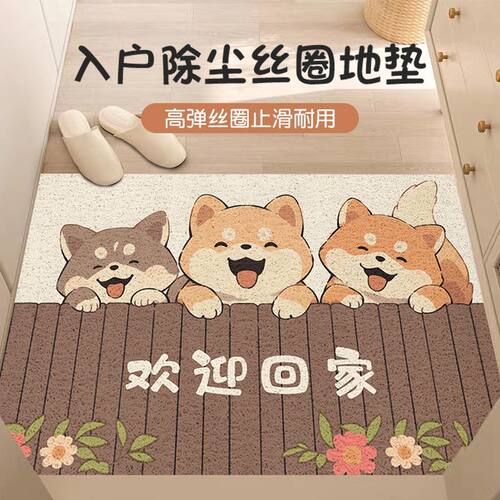 卡通入户门丝圈地垫n门口耐磨脚垫进门家用蹭土地毯玄关门垫可裁