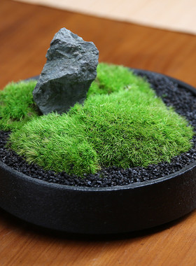 中式永生苔藓微景观盆景摆件餐桌花酒店茶室家居摆设客厅玄关装饰