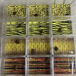 乌龟方形缸饲养盒蛋龟专用沉淀版发色板盒子桌面造景懒人过滤鱼缸