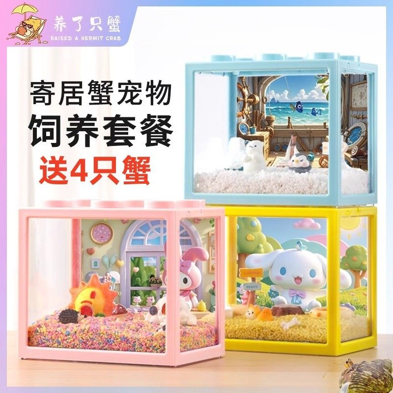 寄居蟹饲养盒子躲避屋饲养箱专用缸宠物生态缸造景全套用品养厂家