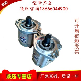 A2FR L液压泵CBK1010 L高压油泵 A1FR 四川长江液压齿轮泵CBK1010