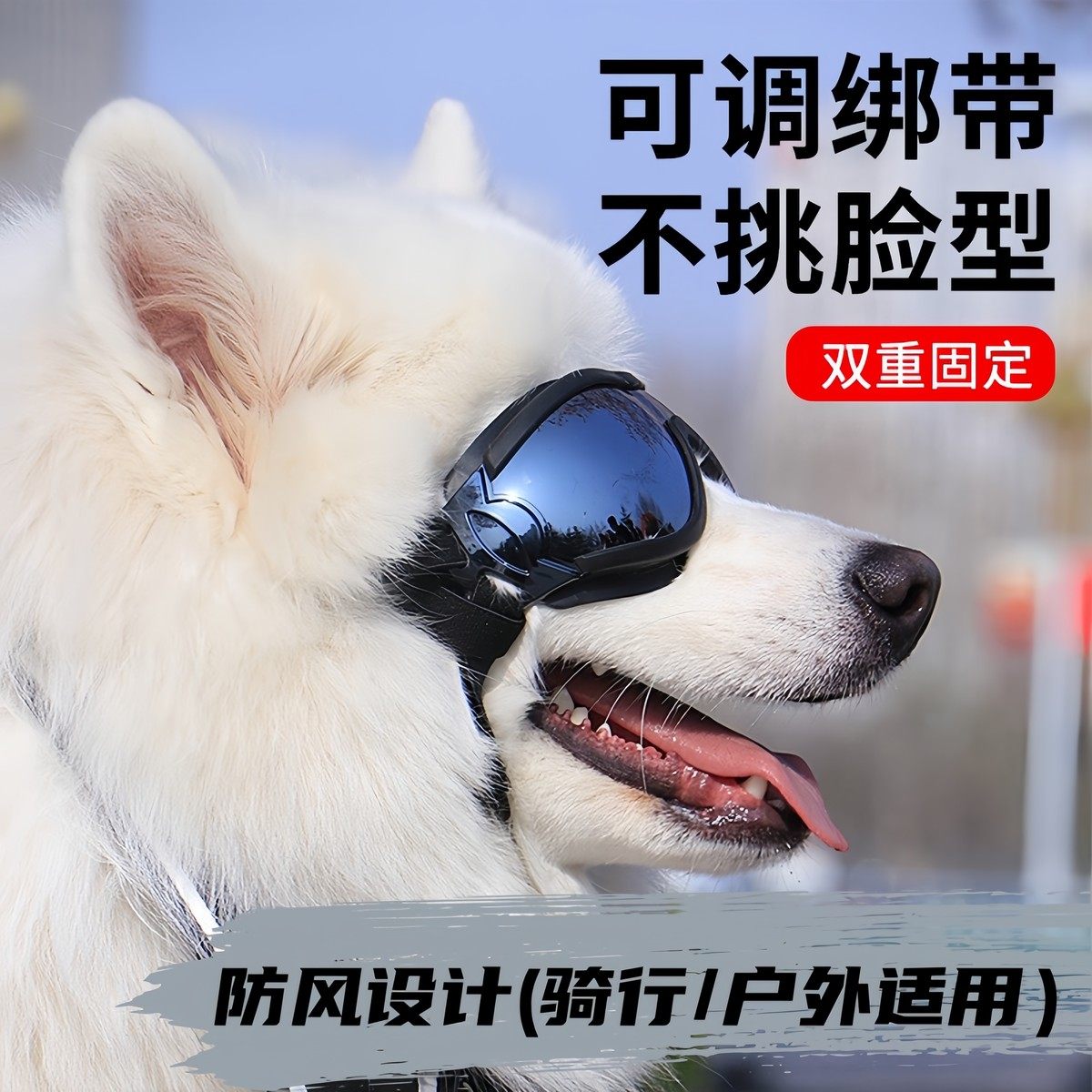 狗狗护目镜大型犬宠物眼镜防晒墨镜骑行防风太阳镜外出小狗镜厂家,宠物/宠物食品及用品,宠物眼镜/护目镜,淘宝优惠券,粉丝福利购,淘宝优惠卷