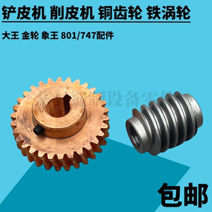 6铜齿轮 大王TK801铲皮机配件削皮机小蜗轮3Y115 蜗轮组件