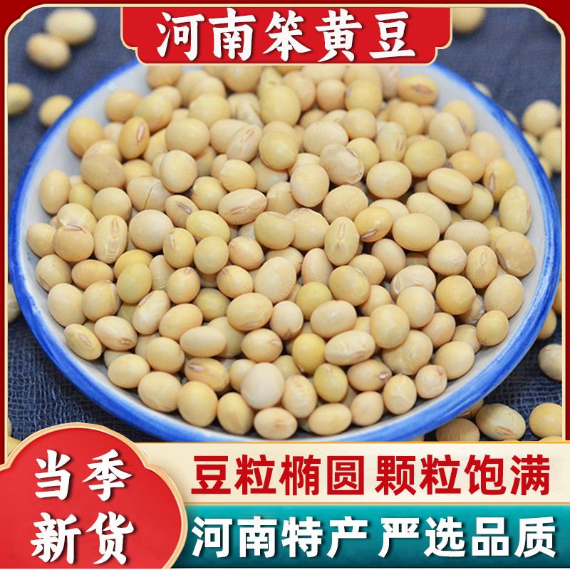笨黄豆新黄豆河南农家自种黄豆打豆浆笨黄豆新鲜杂粮产地直发