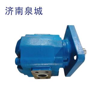 2080 钻机齿轮泵2080 济南泉城液压掘进机油压双联泵CBZ2050 2050