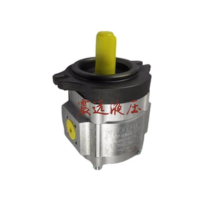 025RA04 1X注塑机伺服油泵EIPS2 016RA04 齿轮泵EIPS2