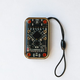 新版变色龙chameleon Ultra侦测模拟ic卡和id卡可存16张多合一卡