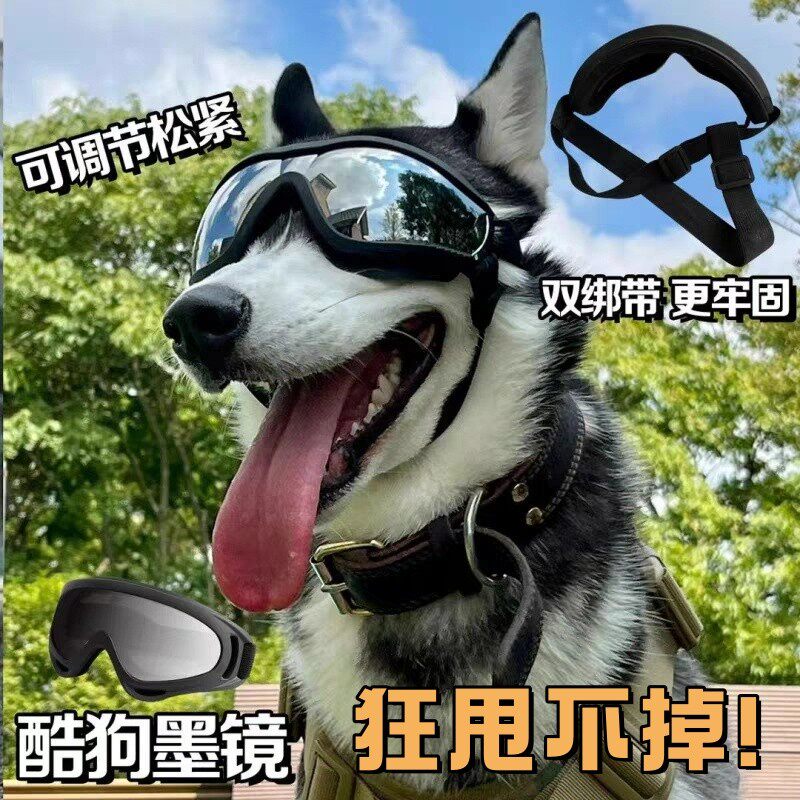 狗狗护目镜金毛外出柴犬防紫外线太阳眼镜防风大型犬骑行防晒厂家