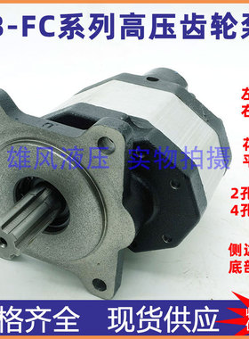 CBFC调直机油泵CB-FC10-16-20-32-40-50-63-80-FLR液压齿轮泵GJCB