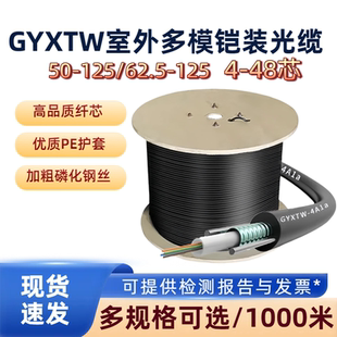 62.5 125 125户外光纤线 室外多模光缆4芯6芯8芯12芯光缆线铠装