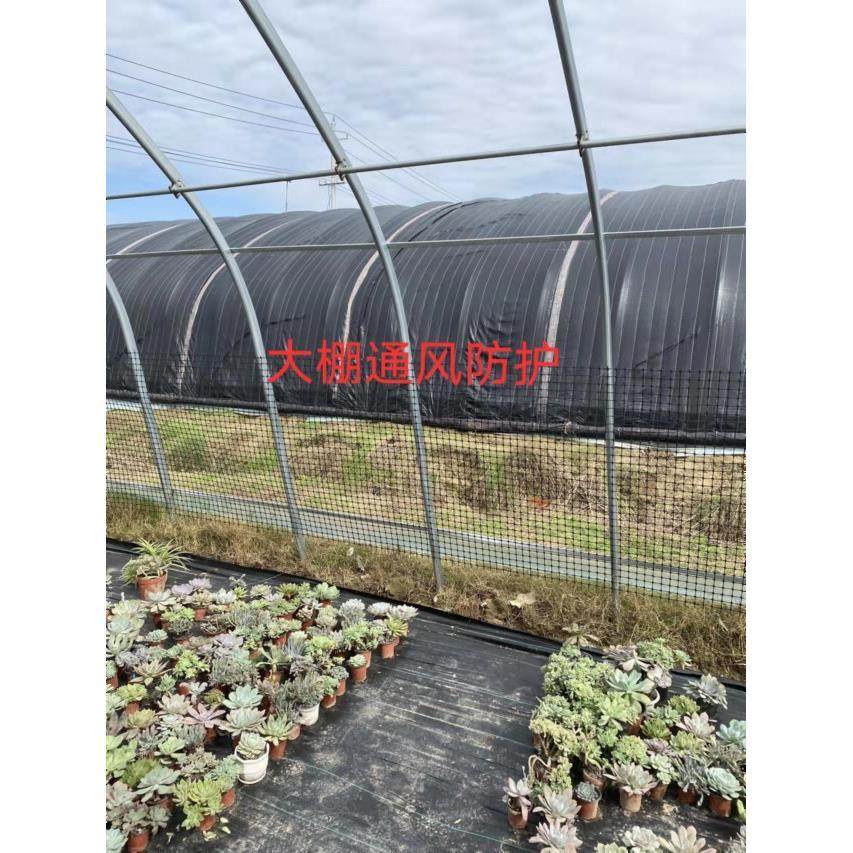 养鸡围栏网塑料养殖网池塘防护护栏鸡鸭鹅养殖大棚通风网塑料围栏,畜牧/养殖物资,养鸡网,淘宝优惠券,粉丝福利购,淘宝优惠卷