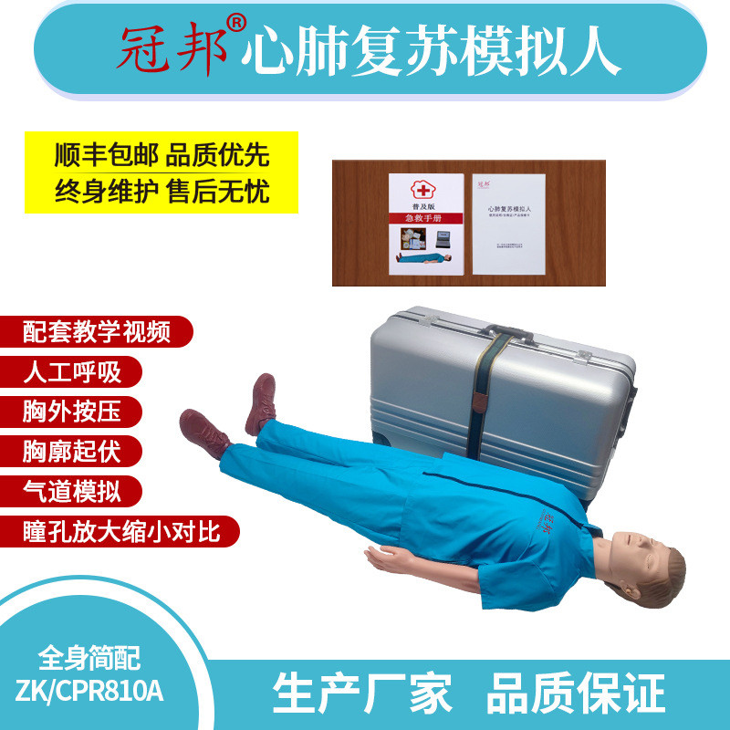 全身心肺复苏模拟人（简配） 急救教学模型 训练模型 硬塑箱