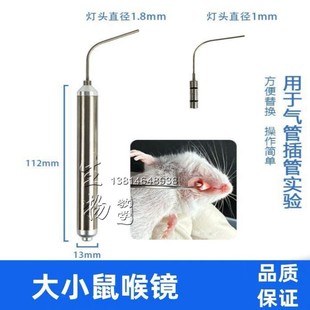 大鼠小鼠喉镜 动物麻醉咽喉镜 给药操作 气管插管光纤管灯 喉镜
