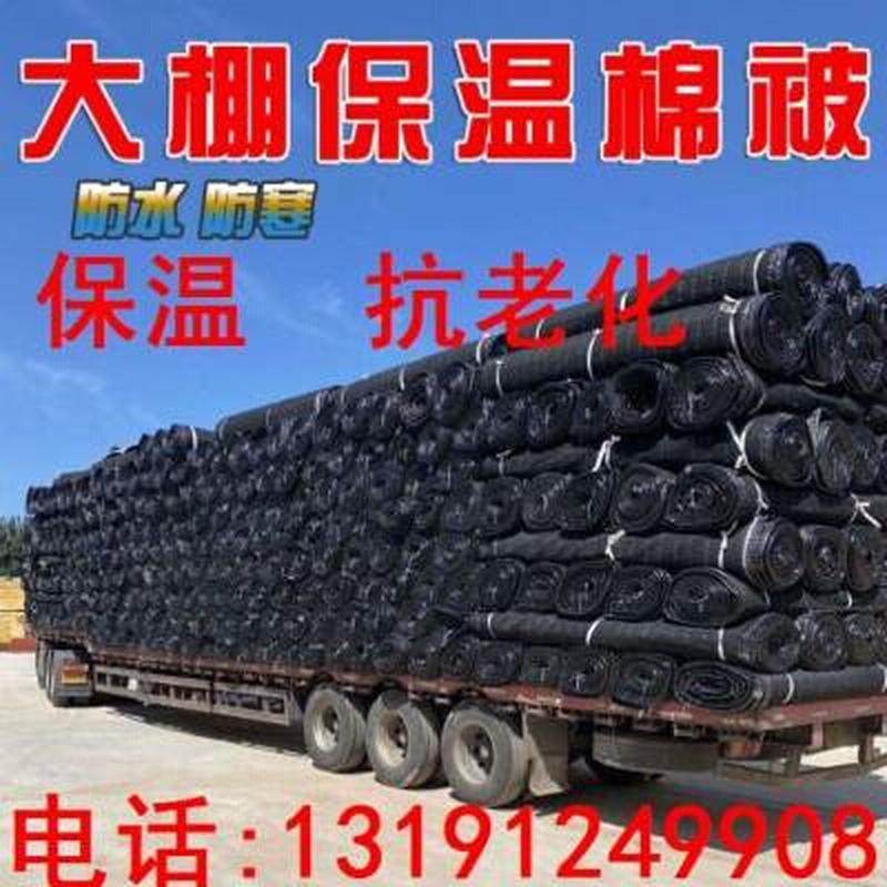 现货速发养护大棚保温棉被加厚防寒蔬菜花卉养殖I种g植温室保暖防,农机/农具/农膜,大棚保温被/防寒毡,淘宝优惠券,粉丝福利购,淘宝优惠卷